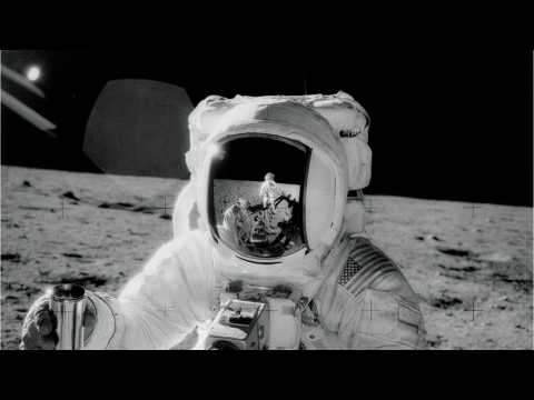 VIDEO : Live like a (coddled) astronaut in this lunar lander-inspired tiny home