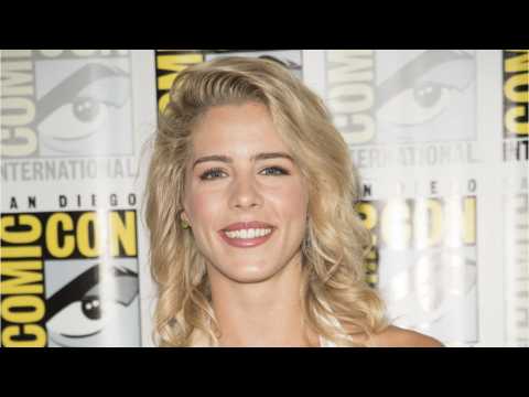 VIDEO : 'Arrow' Star Emily Bett Rickards Is Available As An Action Figure