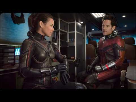 VIDEO : What Was The Most Complicated Scene In 'Ant-Man And The Wasp'?
