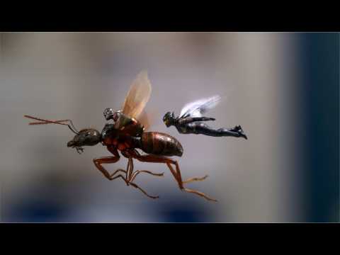VIDEO : 'Ant-Man and the Wasp' Projected To Open At $80M