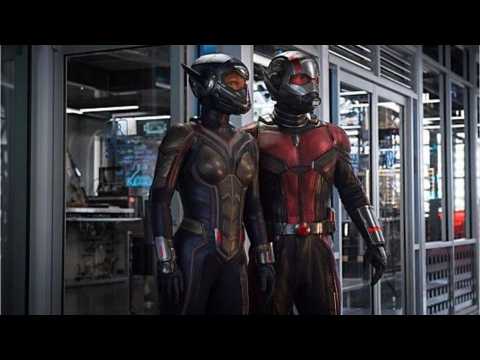 VIDEO : Is 'Ant-Man 3' Already In The Works?