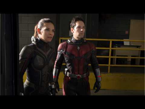 VIDEO : Evangeline Lilly's Wasp Becomes First Female Marvel Hero To Appear In Title