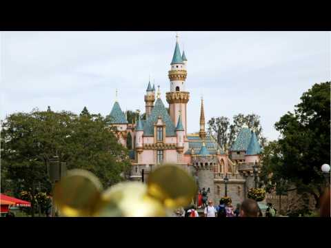 VIDEO : Disneyland's power restored after outage