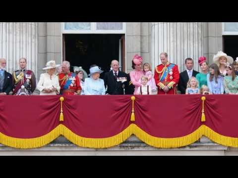 VIDEO : What To Do When Meeting A Member Of The Royal Family