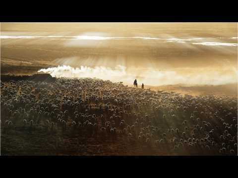 VIDEO : ?Living Biblically? Goes Misogyny For Season 1