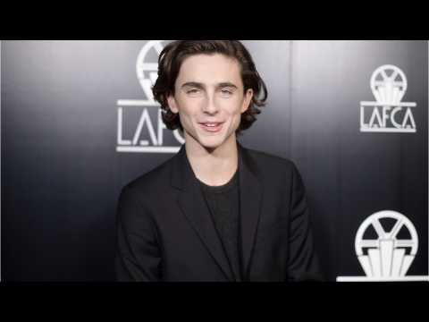 VIDEO : Timothee Chalamet Auditioned For Spider-Man