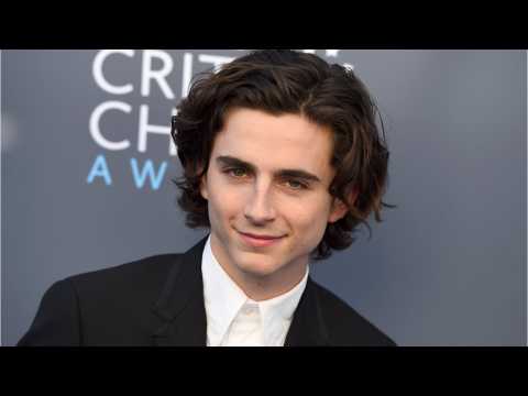 VIDEO : Timothee Chalamet Reveals Which Directors He Wants To Work With