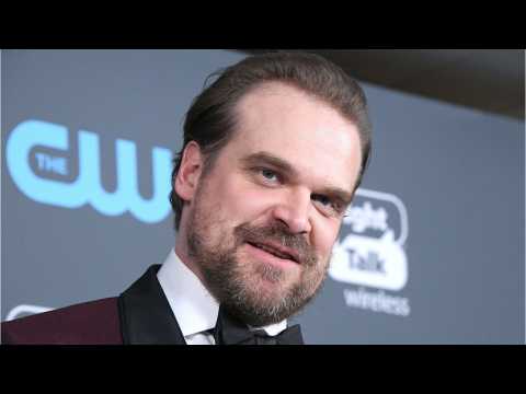 VIDEO : What Favor Did David Habour Ask Twitter For?