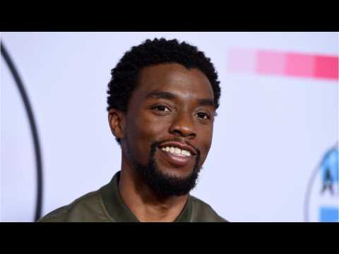 VIDEO : Chadwick Boseman Talks Fan Expectations For Black Panther