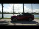 The new BMW X4 Driving Video