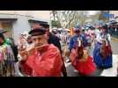 Carnaval provencal à Saint-Tropez