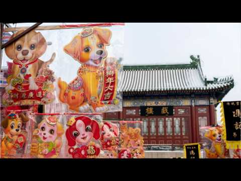 VIDEO : What To Know About The Year Of The Dog