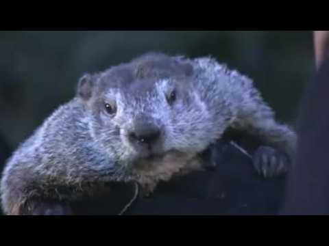 VIDEO : ?Groundhog Day? Screenwriter Discusses Film