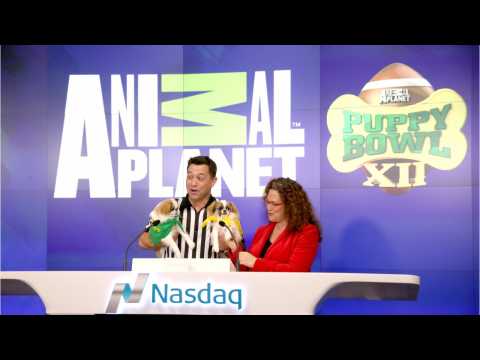 VIDEO : ?Puppy Bowl XIV: Some Behind The Scenes Secrets