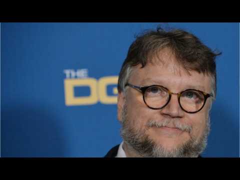 VIDEO : The Shape of Water Wins DGA Award