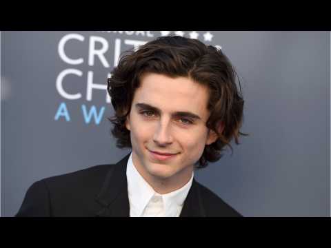 VIDEO : Timothe Chalamet Donates His Salary From Woody Allen Movie To Charity
