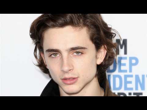 VIDEO : Timothee Chalamet Is Donating His Entire Woody Allen Movie Salary to Charity