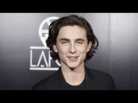 VIDEO : Timothe Chalamet Donating Salary From Woody Allen Movie