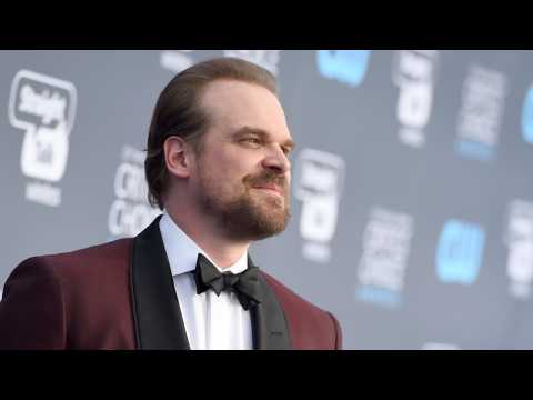 VIDEO : David Harbour Might Officiate A Fan's Wedding