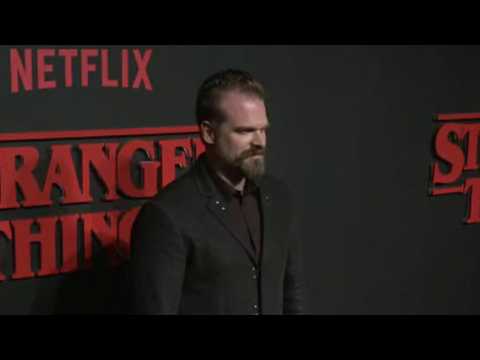 VIDEO : Did David Harbour Agree to Officiate A Wedding?