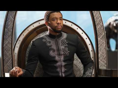 VIDEO : Chadwick Boseman Not Worried About Being Typecast As Superhero