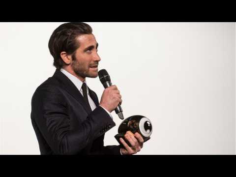 VIDEO : IFC Picks Up Gyllenhaal Drama ?Wildlife?