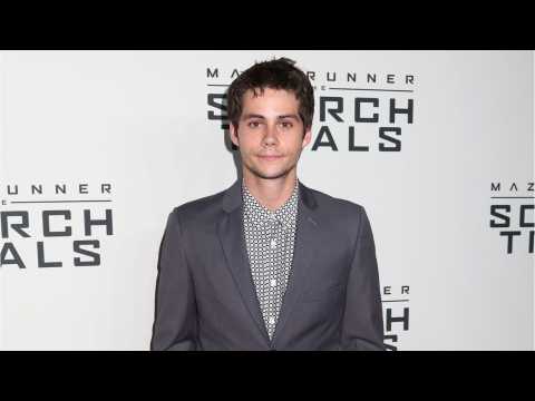 VIDEO : Maze Runner Set To Overtake Jumanji