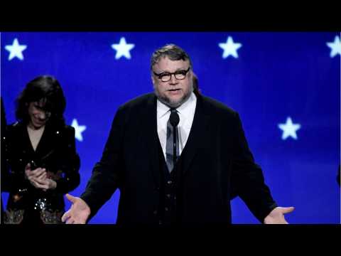 VIDEO : 'Shape of Water' Wins Best Picture At PGA