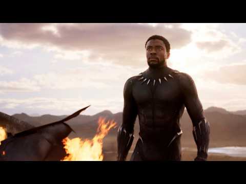 VIDEO : What Do Other marvel Directors Think Of 'Black Panther'