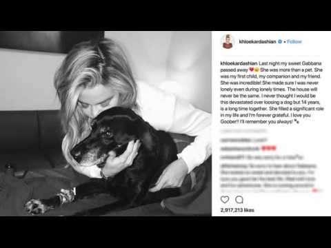 VIDEO : Khloe Kardashian Mourns Dog After it Dies