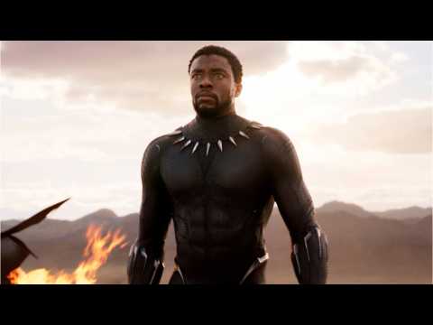 VIDEO : Chadwick Boseman Says Marvel Wasn't A Factor For Black Panther