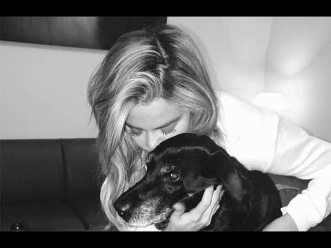 VIDEO : Khloe Kardashian's dog died