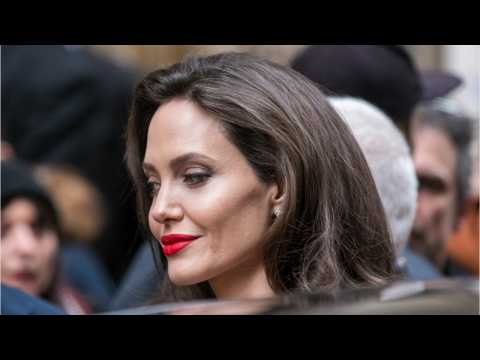 VIDEO : Angelina Jolie Took All 6 Of Her Kids For A Paris Museum Day