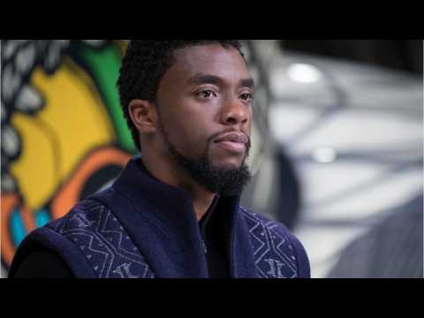 VIDEO : What Is 'The Black Panther' About?