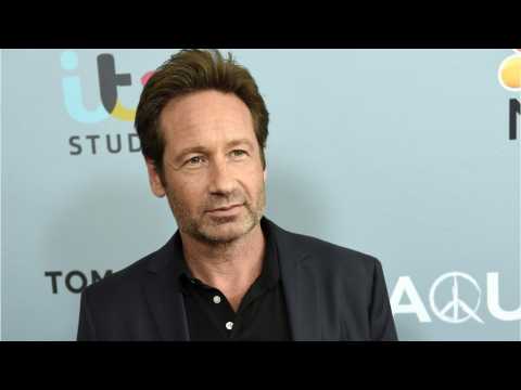 VIDEO : David Duchovny Reveals Role He Auditioned For Before Landing X-Files