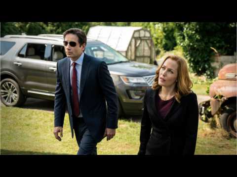 VIDEO : David Duchovny And Gillian Anderson Try To Keep ?The X-Files? Relevant