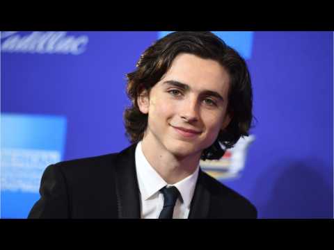 VIDEO : Timothe Chalamet To Play King Henry V