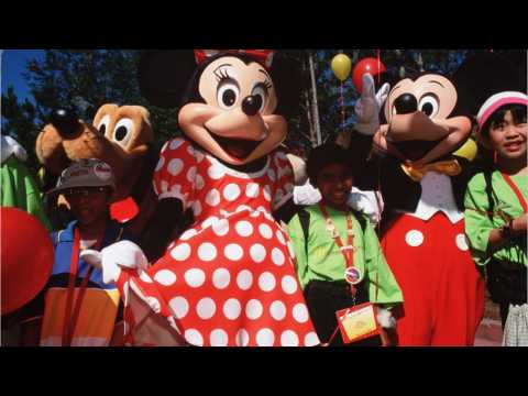 VIDEO : A Disneyland Collection Up For Auction