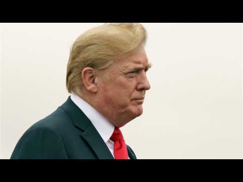 VIDEO : Which Celebs Are Friends Of The Trump Family?