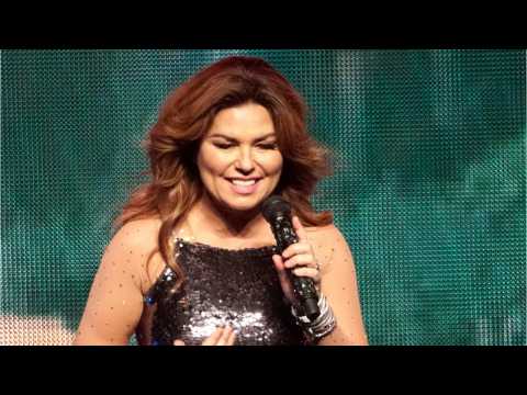 VIDEO : Shania Twain's Tour Is Going Successful