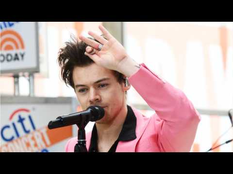 VIDEO : Harry Styles and Camille Rowe Breakup