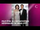 Divorce Brad Pitt-Angelina Jolie : retour sur la récente guéguerre autour de la ...