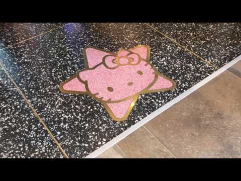 VIDEO : Hello Kitty and Converse Collaboration Is The Cat's Meow