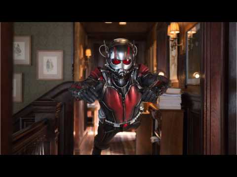 VIDEO : What About The Time Between 'Ant-Man And The Wasp' And 'Infinity War'?