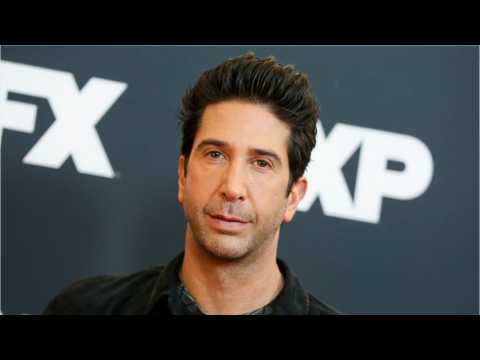 VIDEO : David Schwimmer To Appear On Will & Grace