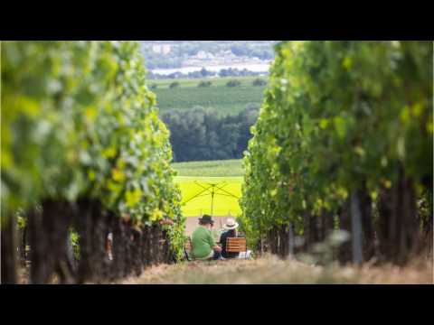 VIDEO : Great Vineyards To Visit