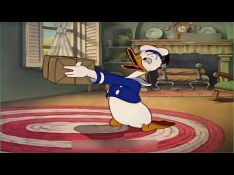 VIDEO : Original Drawing of Donald Duck By Walt Disney Sold for Thousands