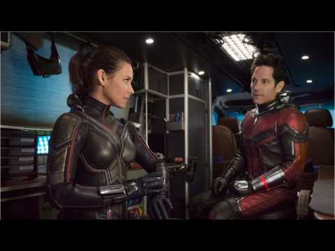 VIDEO : Peyton Reed On The ?Ant-Man And The Wasp? Mid-Credit Scene
