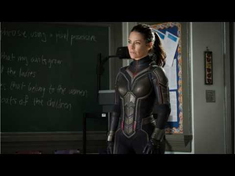 VIDEO : Evangeline Lilly Addresses If Wasp Will Change Costumes in Future Movies