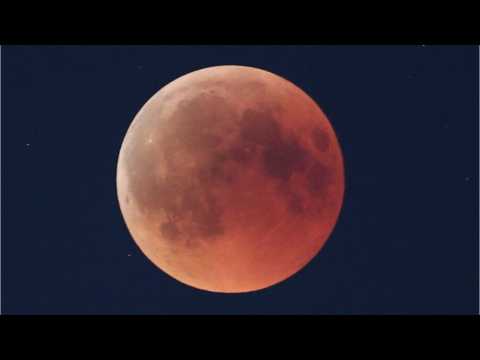VIDEO : The Lunar Eclipse In Photos